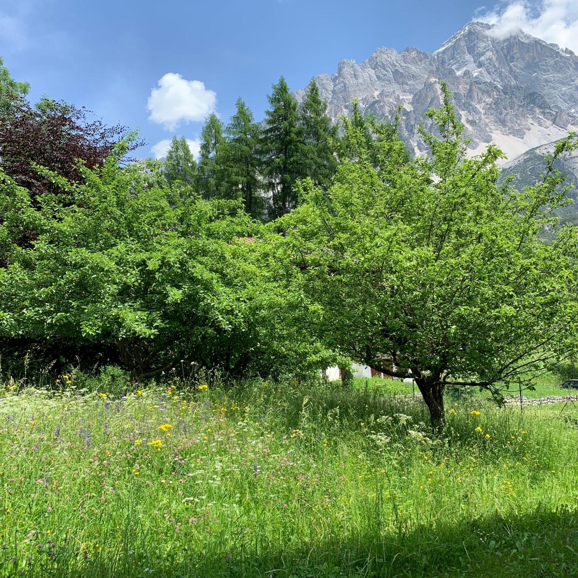 Piccolo Gioiello Di Montagna Διαμέρισμα Villanova  Εξωτερικό φωτογραφία